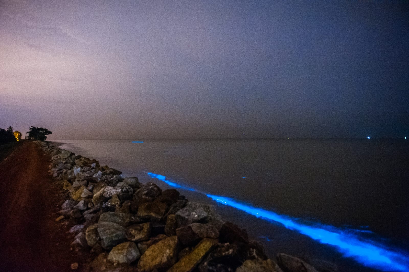 A sea wall at night: glowing plankton lights a blue line along the stones in the waves.